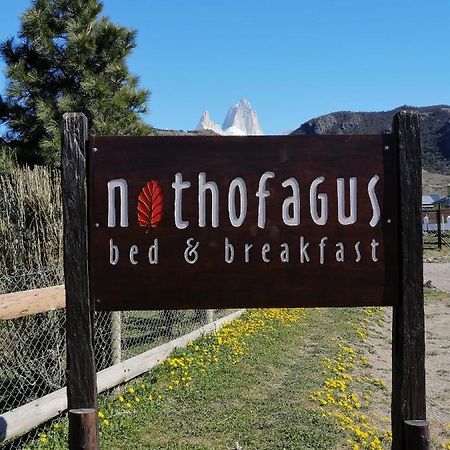 אל צ'אלטן Nothofagus Bed & Breakfast מראה חיצוני תמונה