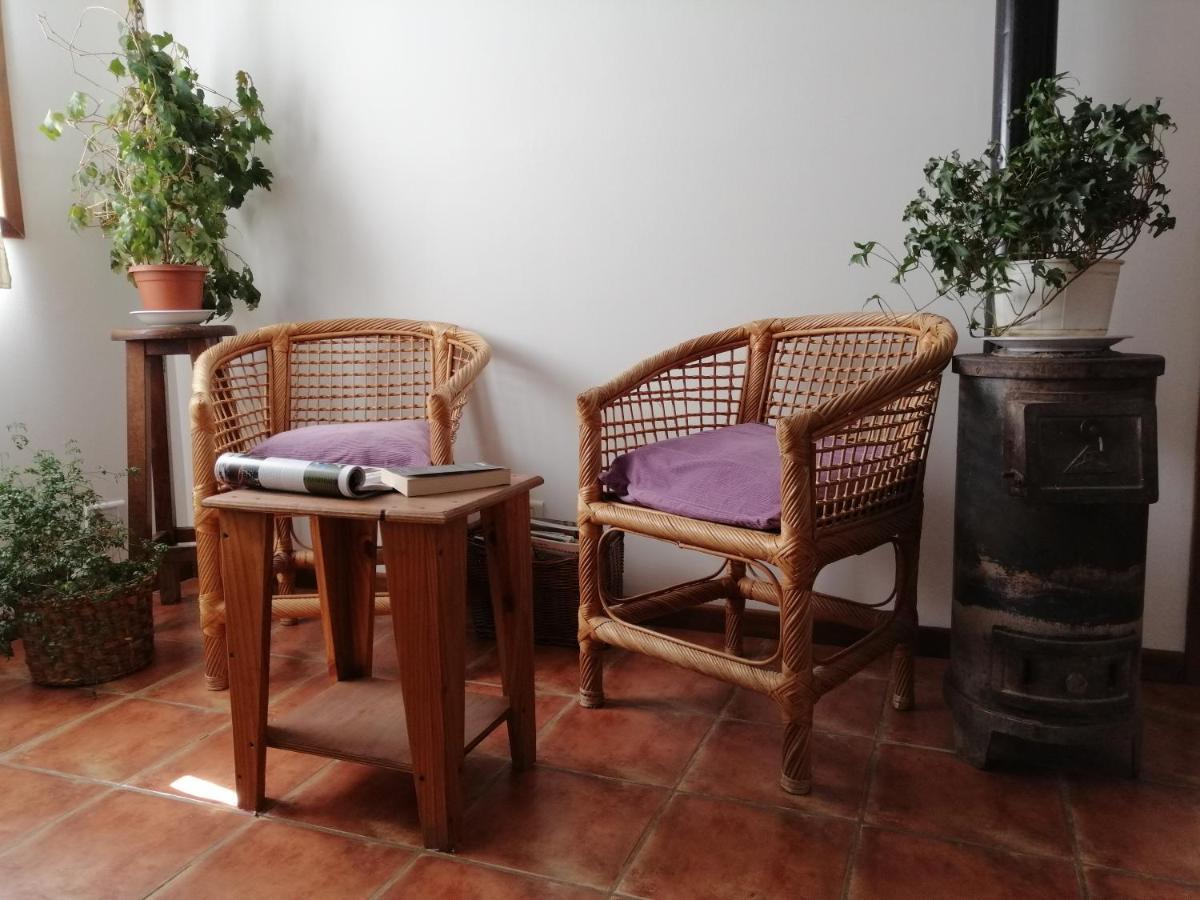 אל צ'אלטן Nothofagus Bed & Breakfast מראה חיצוני תמונה